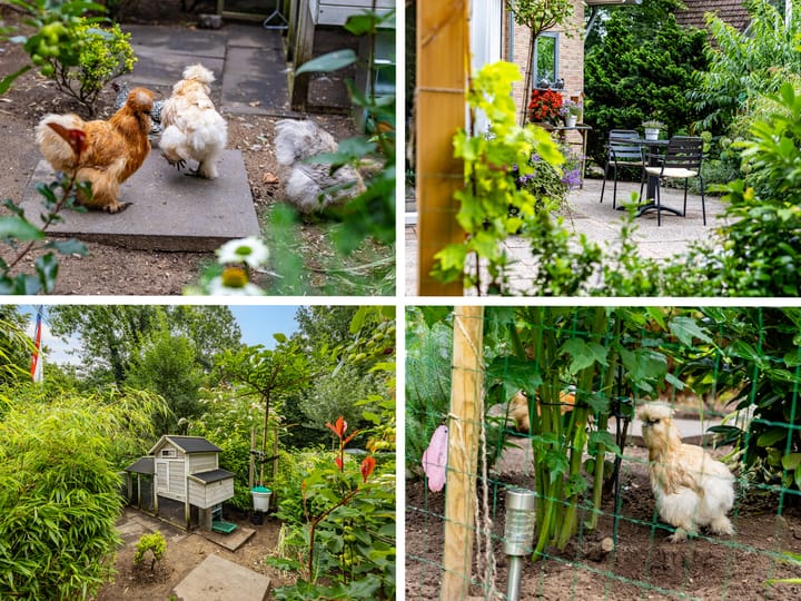 Photo 38 of Tullekenweg 16