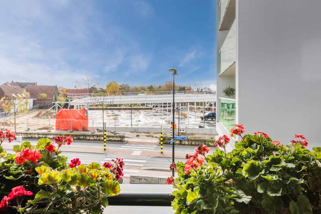 Foto 41 van Zuiderpoort 6