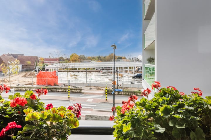 Foto 41 van Zuiderpoort 6