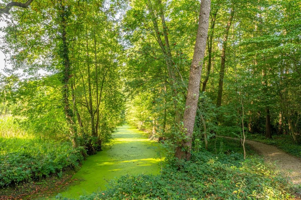 Foto 32 van Heuvelweg 24