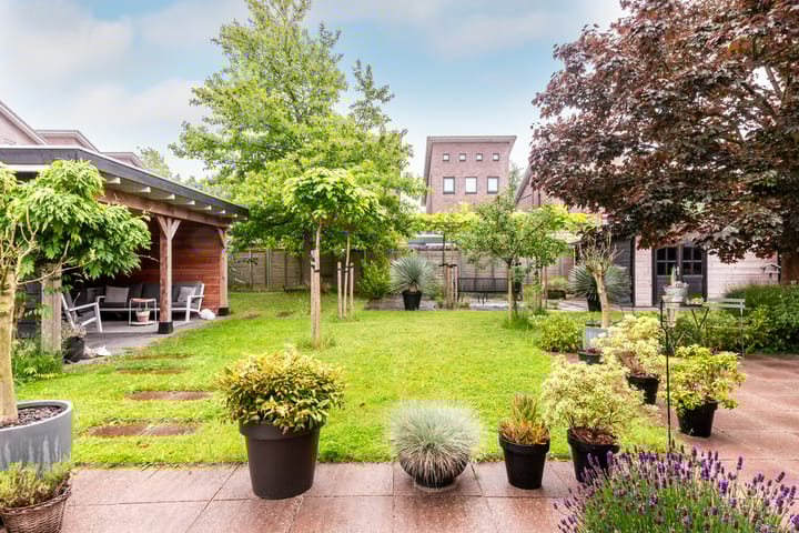 Photo 4 of Zuidewijn 30