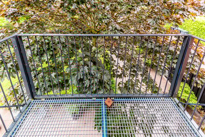 Foto 24 van Zuidewijn 30