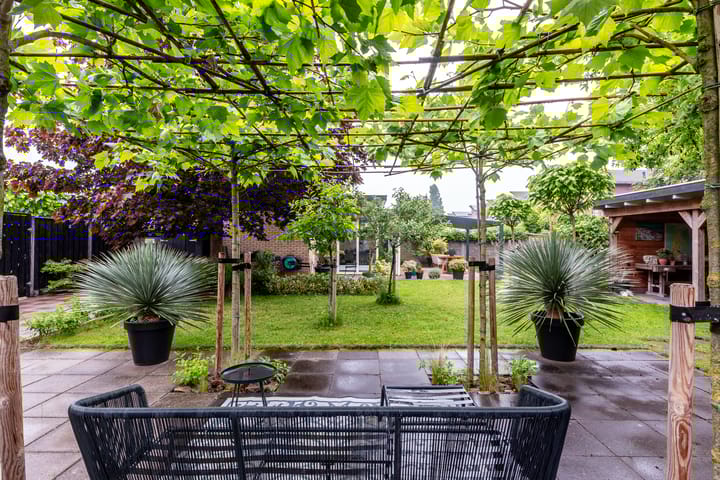 Foto 32 van Zuidewijn 30