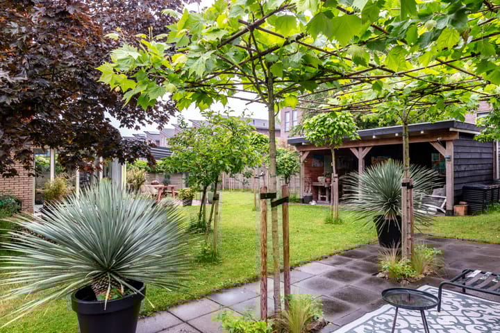 Foto 33 van Zuidewijn 30