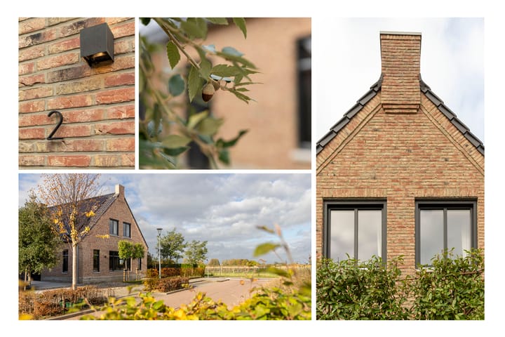 Photo 4 of Spinrok 2