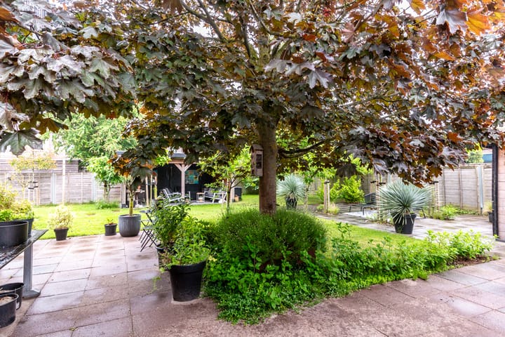 Foto 34 van Zuidewijn 30