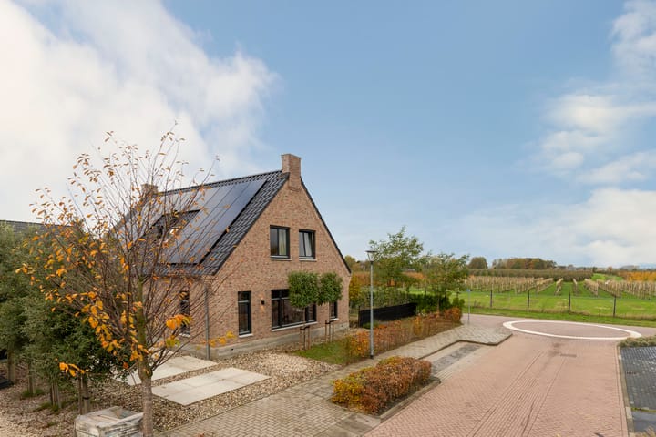 Photo 5 of Spinrok 2