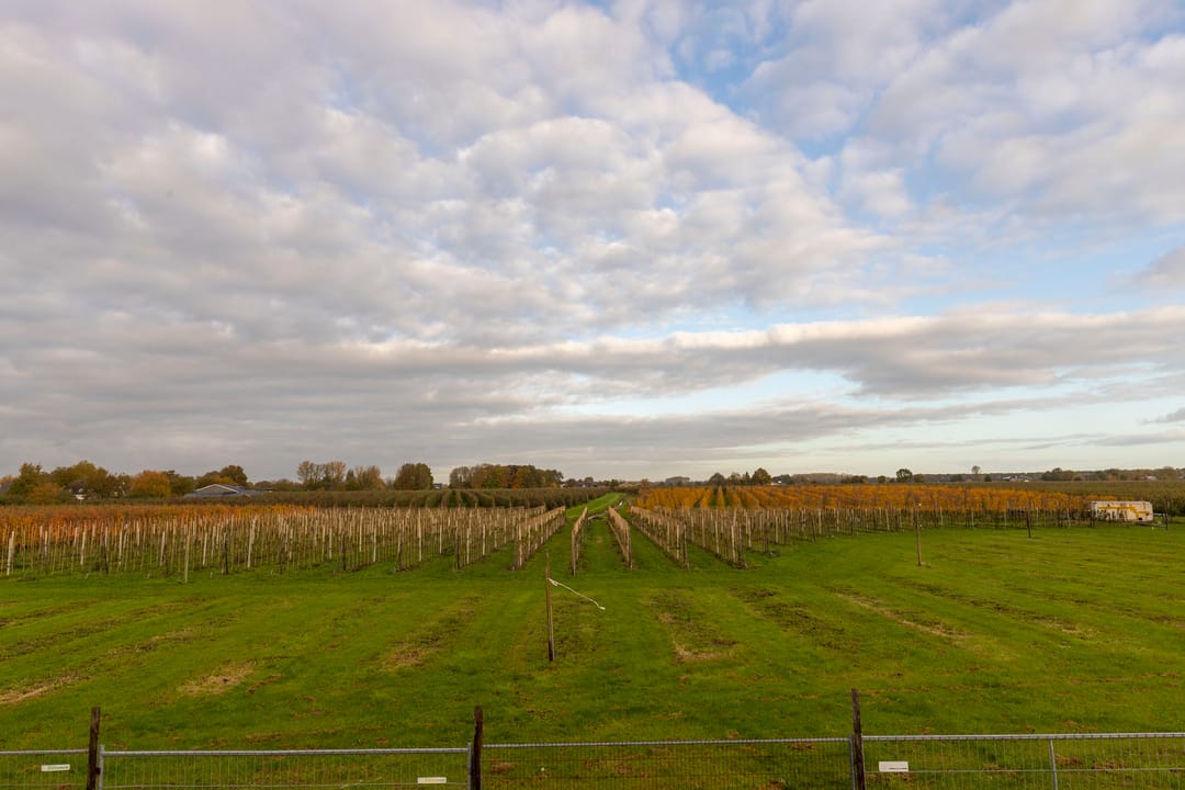 Foto 7 van Spinrok 2