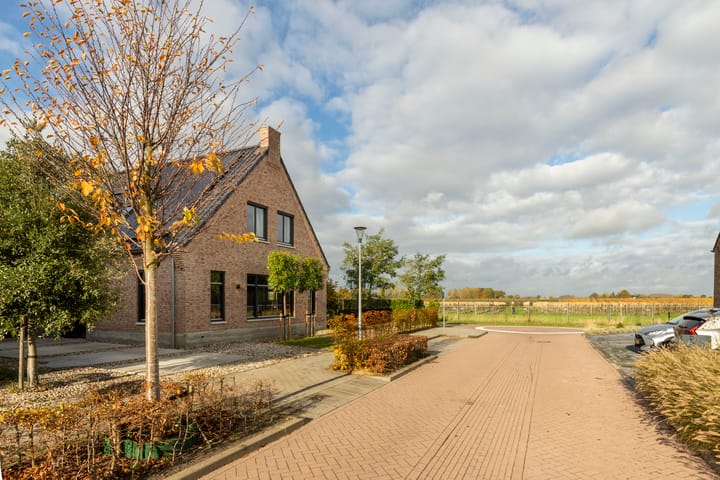 Photo 9 of Spinrok 2