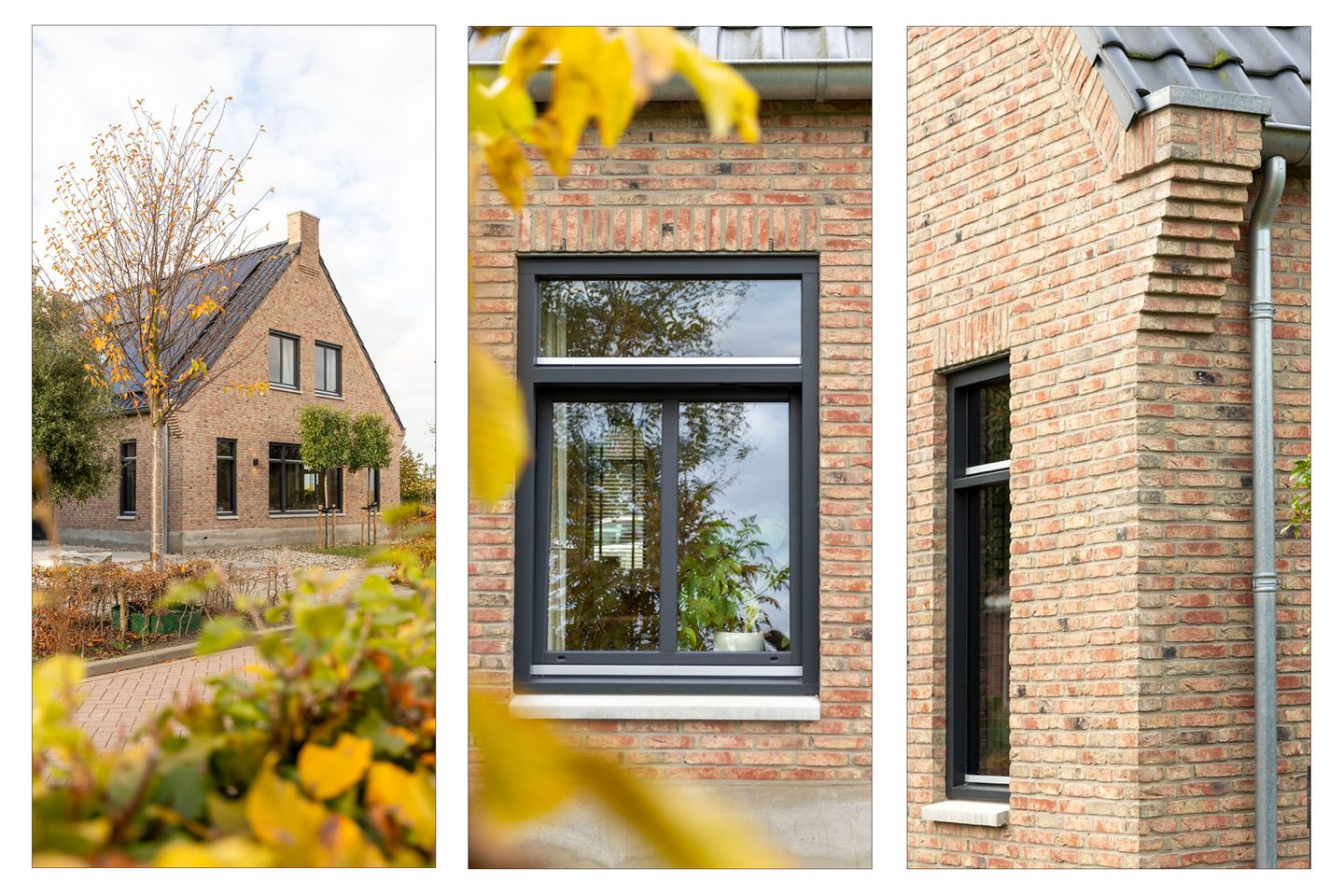 Foto 10 van Spinrok 2