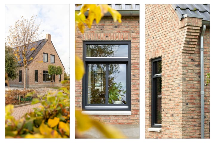 Photo 10 of Spinrok 2