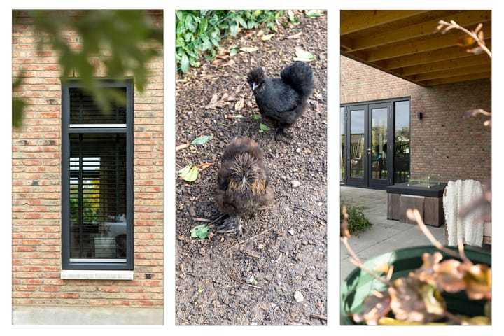 Photo 45 of Spinrok 2