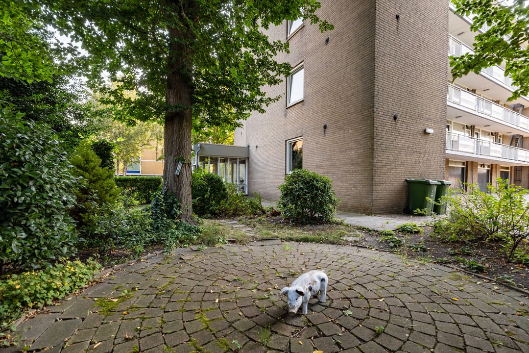 Photo 17 of Willem de Bijelaan 91