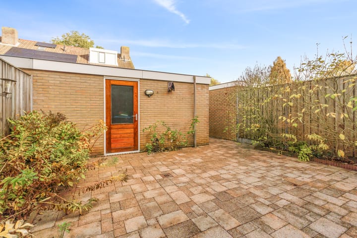 Photo 31 of Masada 4