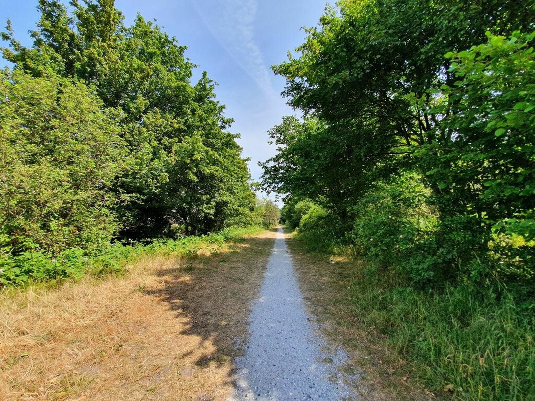 Foto 36 van Piet Mondriaansingel 5