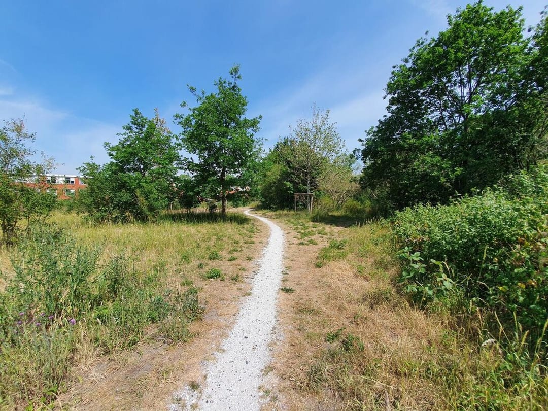 Foto 37 van Piet Mondriaansingel 5