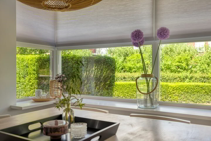 Photo 13 of Korenbloem 13