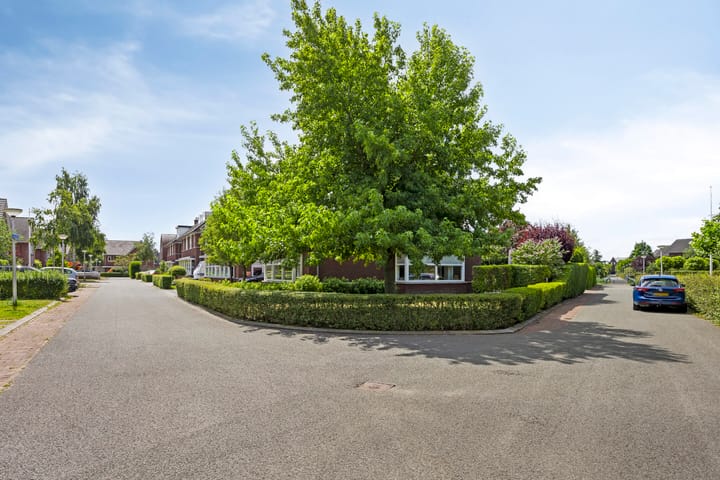 Photo 43 of Korenbloem 13