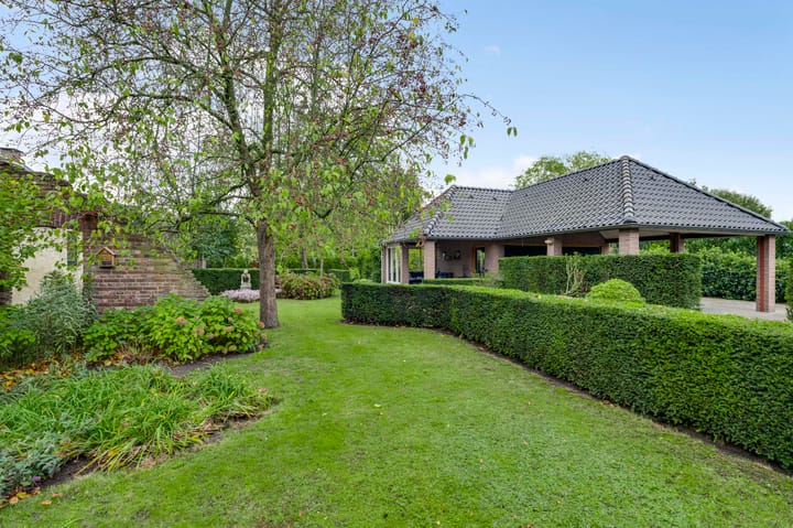 Photo 4 of Vogelsberg 2-A