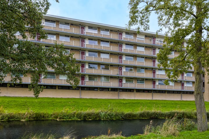 Malvert 6851 main image