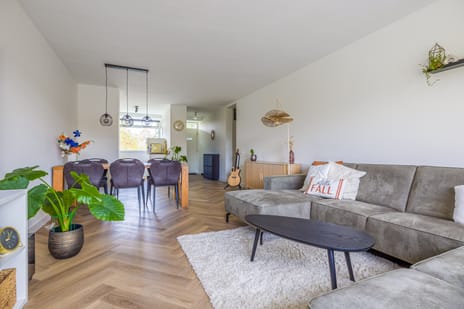 Malvert 6851 secondary image