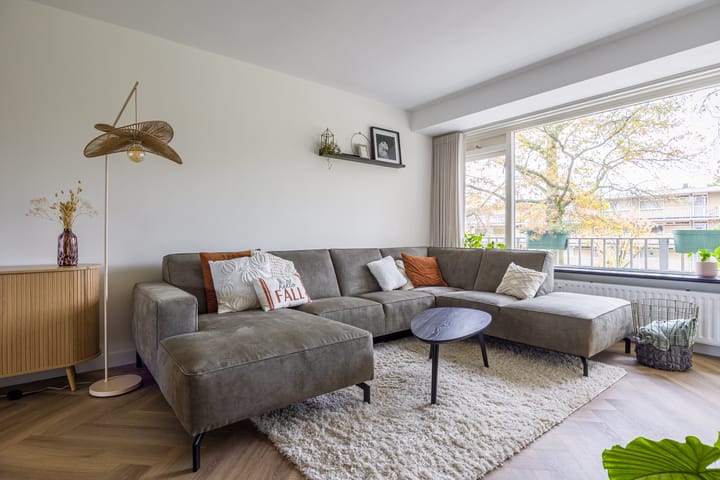 Photo 15 of Malvert 6851