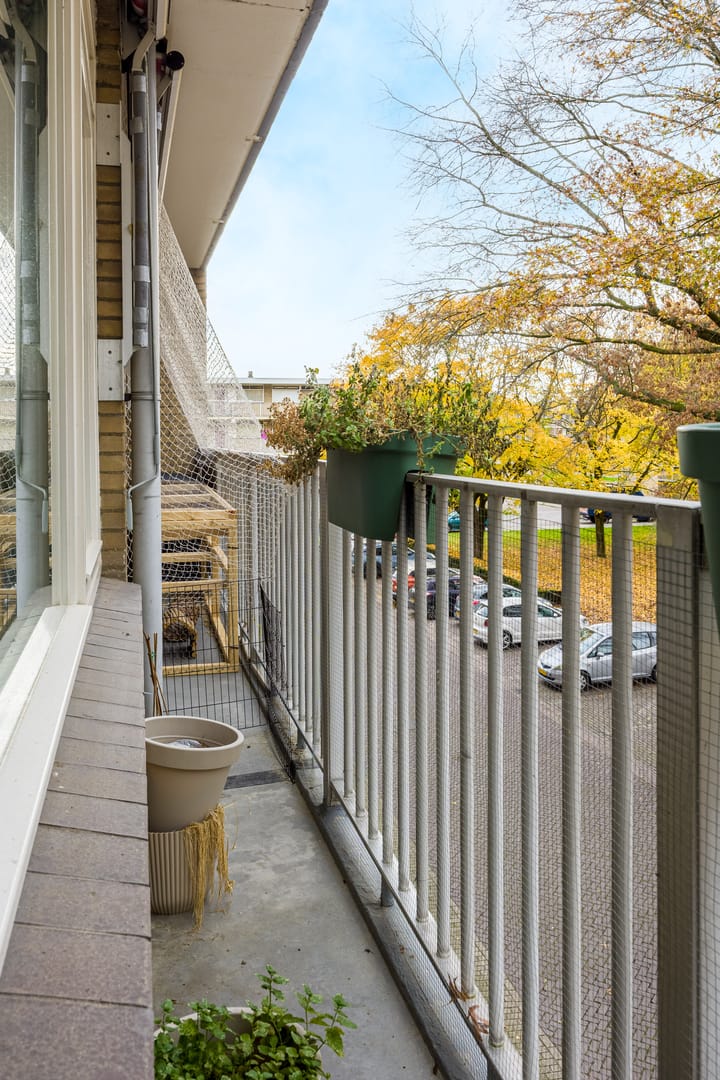 Photo 32 of Malvert 6851