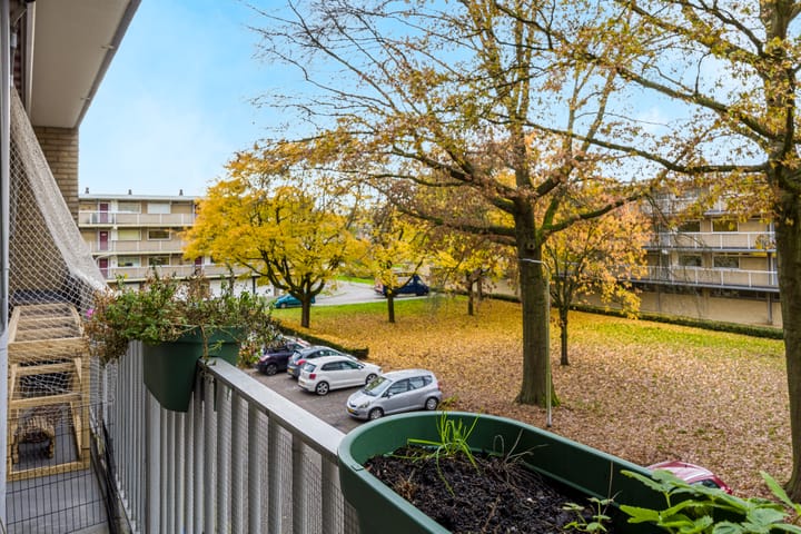 Photo 33 of Malvert 6851