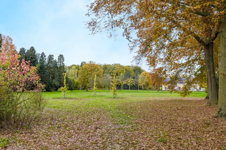 Photo 39 of Malvert 6851