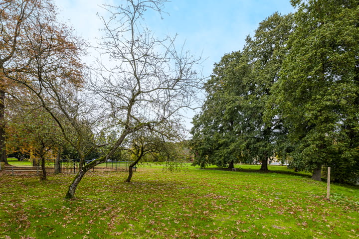 Photo 41 of Malvert 6851