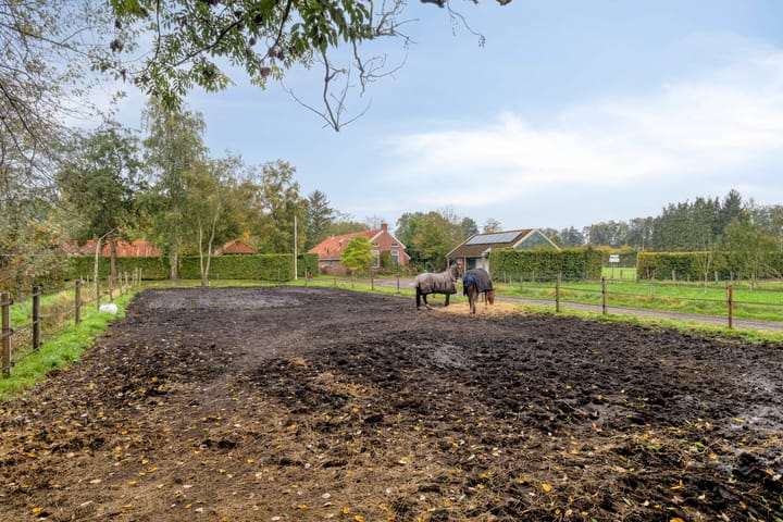 Foto 60 van Hereweg 266