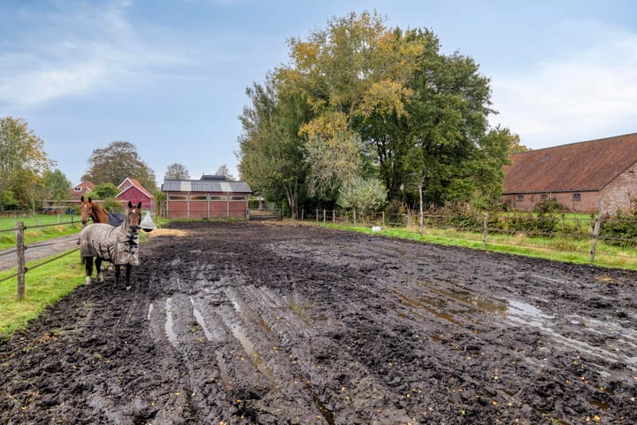 Foto 61 van Hereweg 266