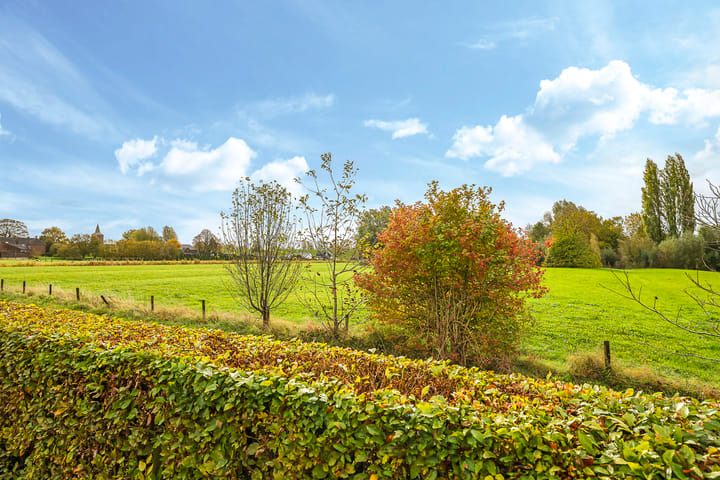 Foto 63 van Eindakkers 4