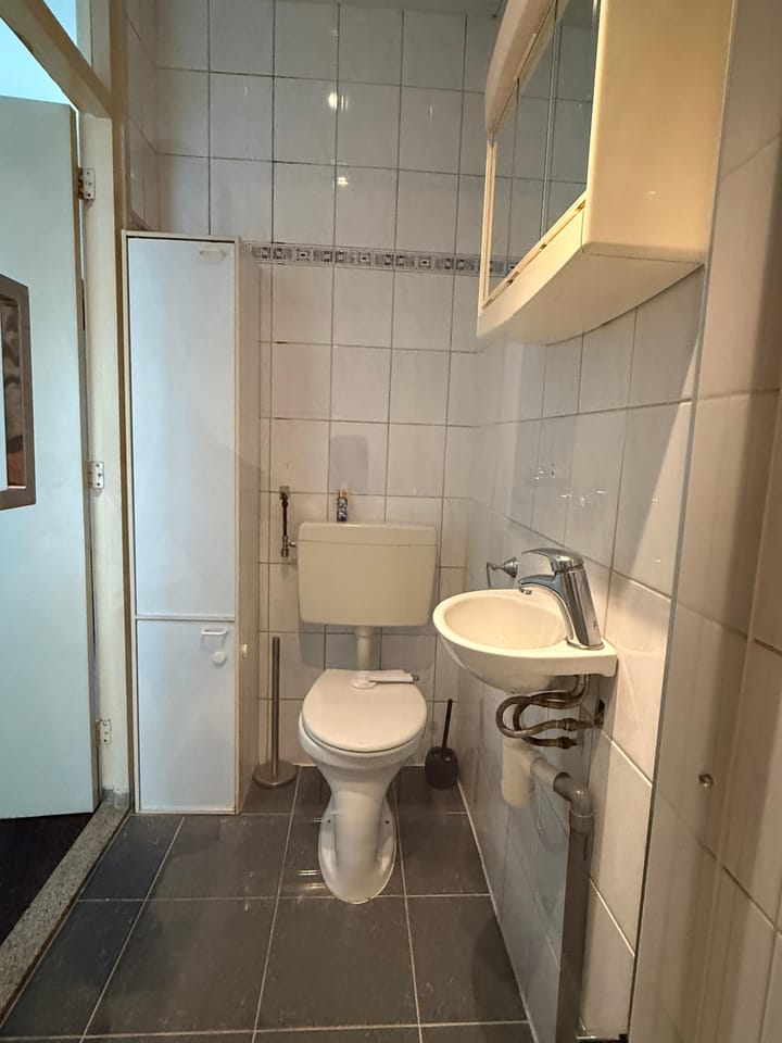 Photo 13 of Roemer Visscherstraat 252