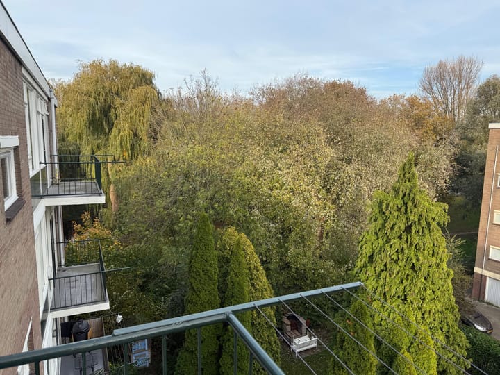 Photo 16 of Roemer Visscherstraat 252