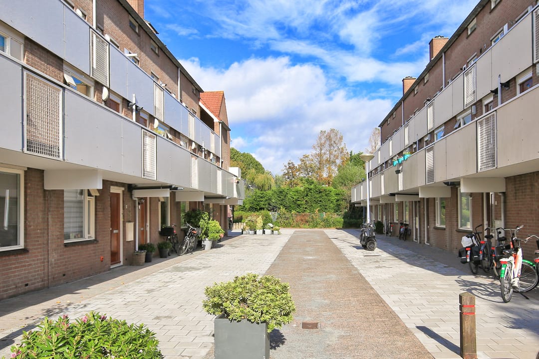 Foto 38 van Thomsonstraat 20