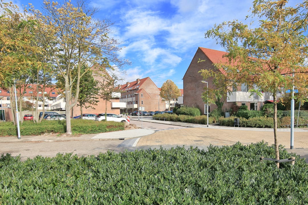 Foto 41 van Thomsonstraat 20