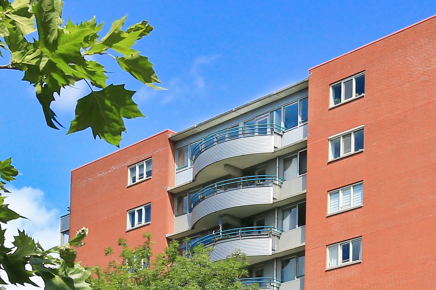 Foto 4 van Cornelis van Rijplantsoen 49