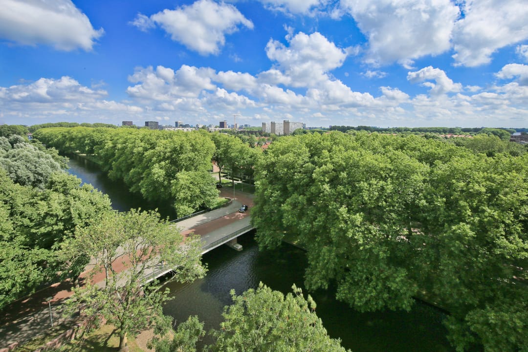 Foto 16 van Cornelis van Rijplantsoen 49