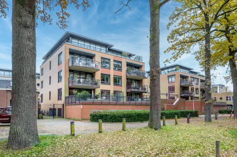 undefined main image