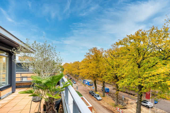 Photo 21 of Stalhouderij 15