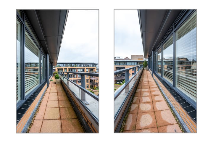 Photo 24 of Stalhouderij 15