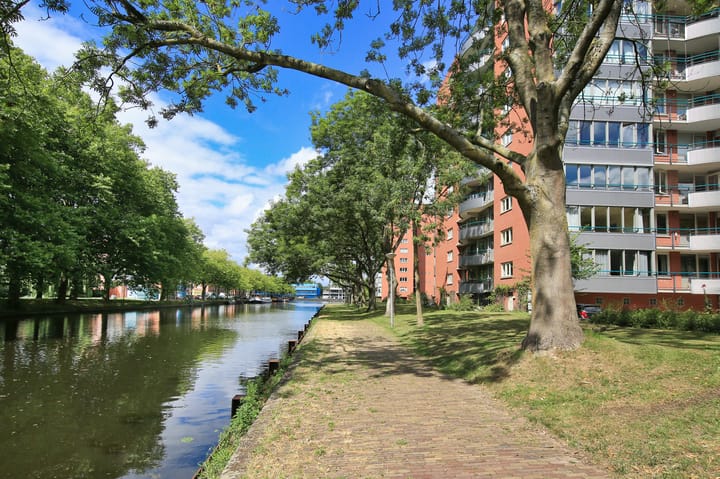 Foto 39 van Cornelis van Rijplantsoen 49