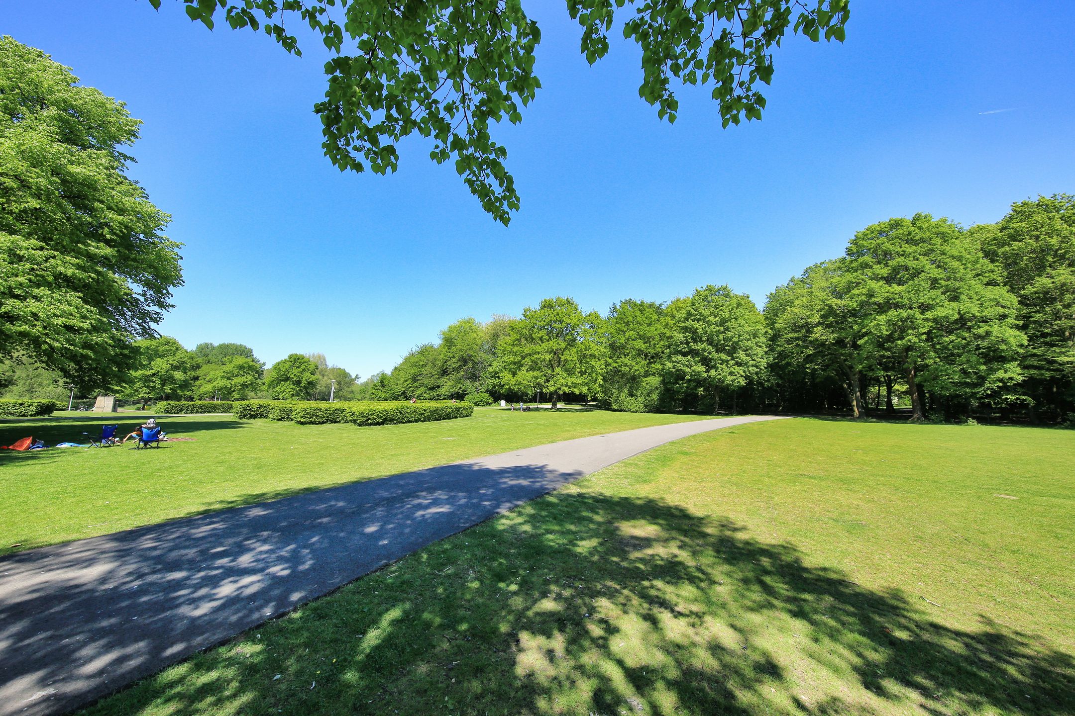 Foto 45 van Cornelis van Rijplantsoen 49