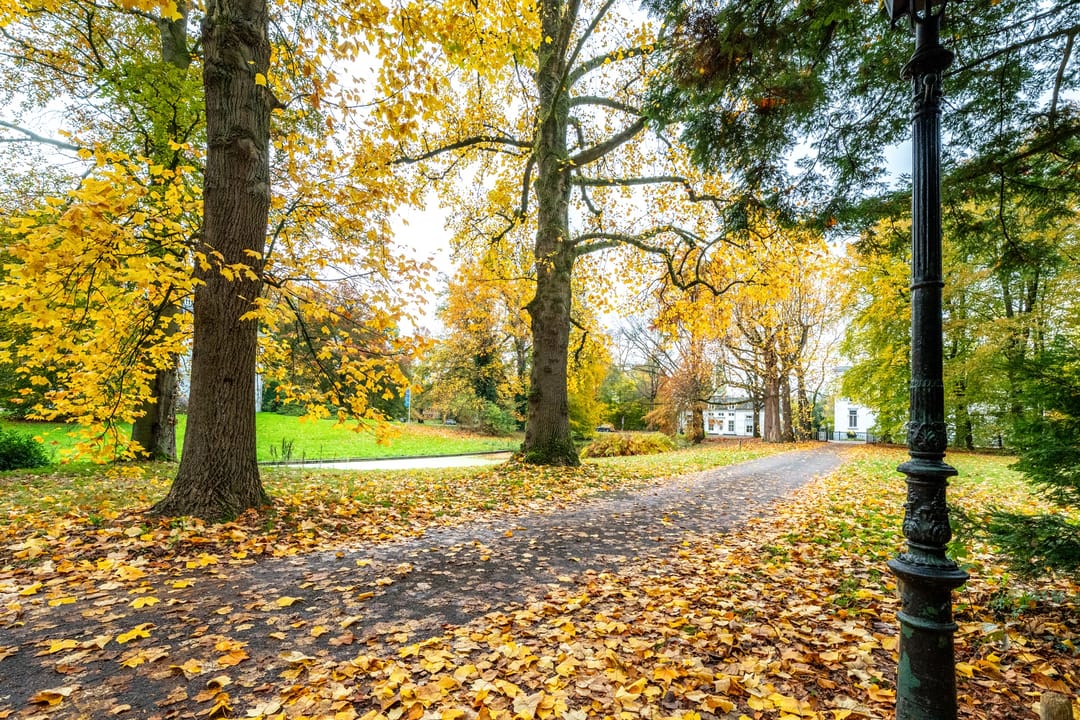 Foto 56 van Stalhouderij 15