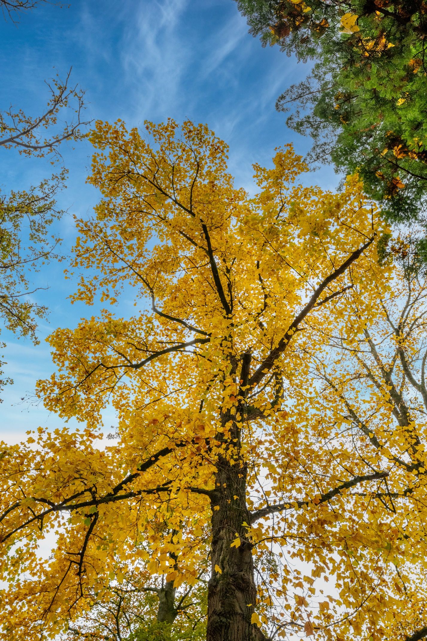 Foto 57 van Stalhouderij 15