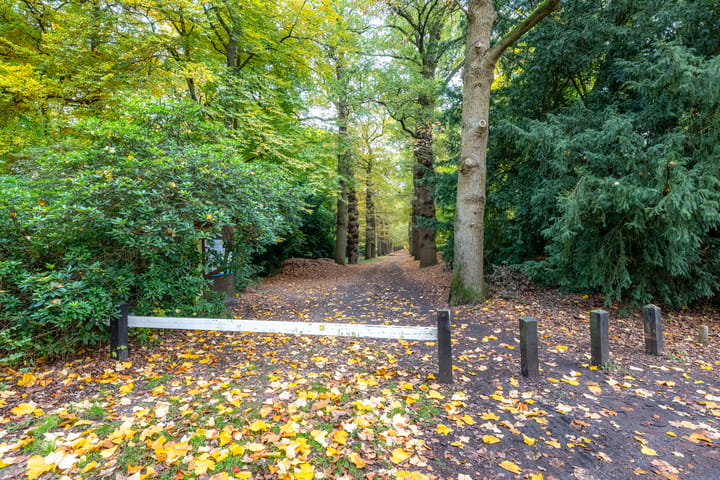 Photo 58 of Stalhouderij 15