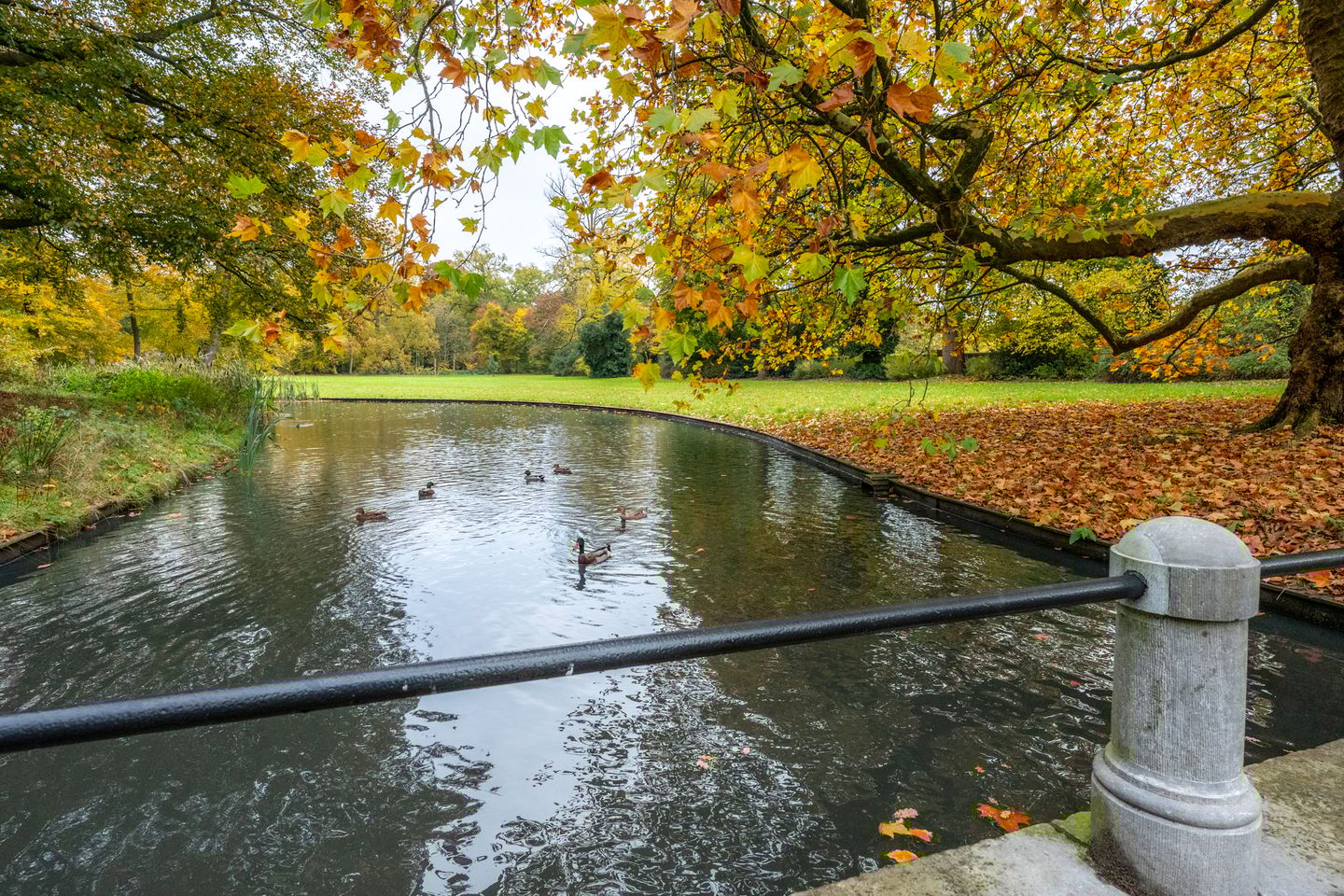 Foto 59 van Stalhouderij 15