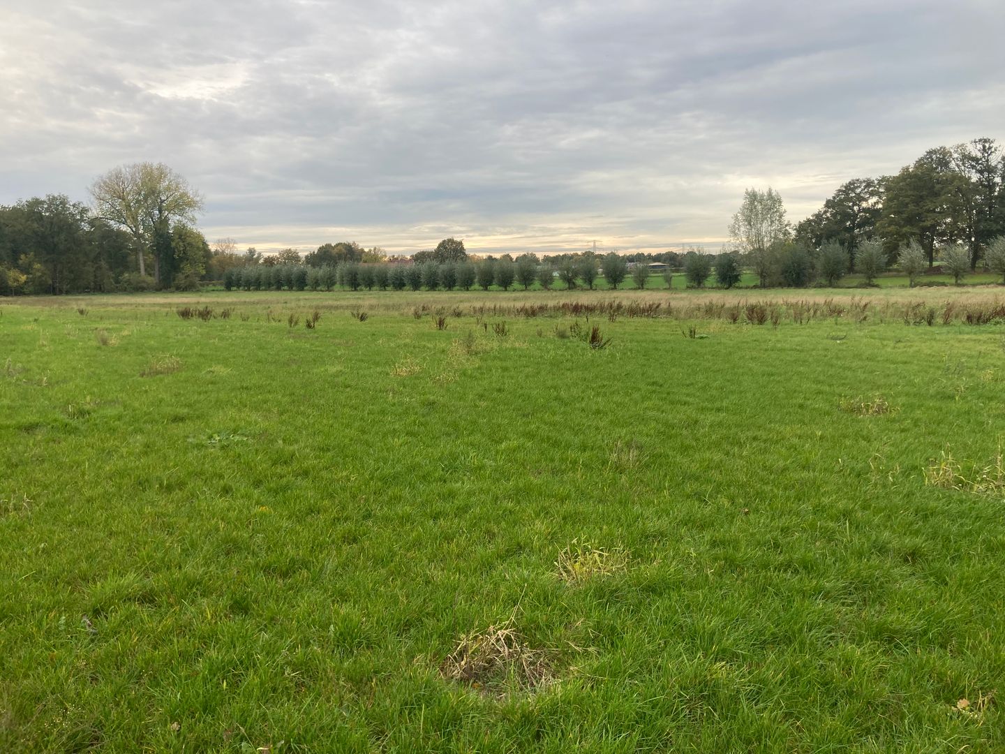 Bekijk foto 4 van Vestjenshoek