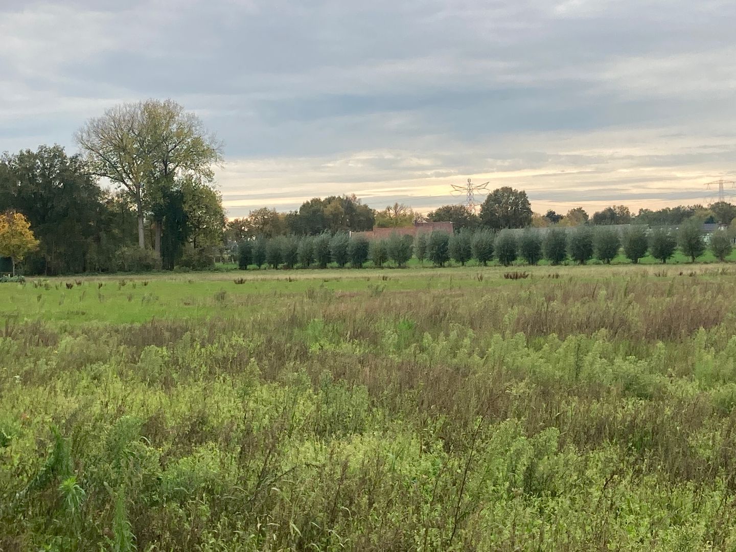 Bekijk foto 2 van Vestjenshoek